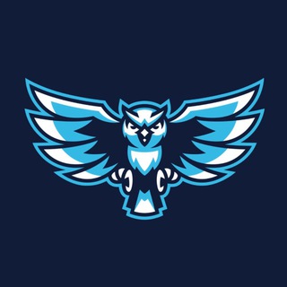 СК «Арктика»