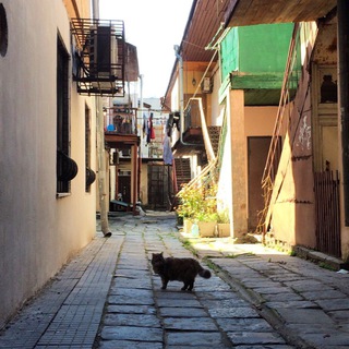 🗝️ Обителей много || Ольга Небелицкая