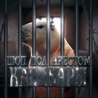 Шоп под арестом капибары