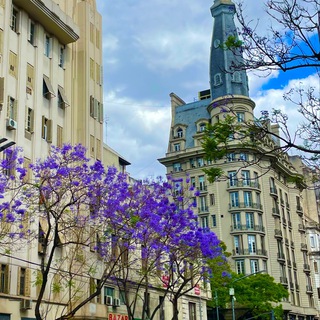 🇦🇷Argentina Help🇦🇷