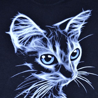 Аргориец 😺