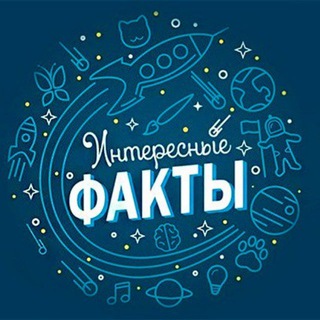 Архивы времени 🔍