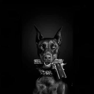 Прогулка по Москве и не только