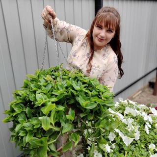 🌸Ароматный сад🌸(петуния, колеусы)