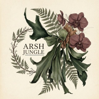 Arsh Jungle🦒
