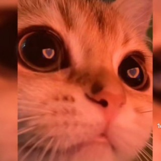 Жизнь『Ars』ArsTokin