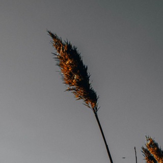 Что-то про искусство