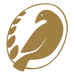 Скопинская Керамика