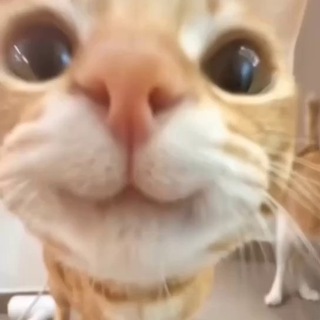 Артем Инсайдов