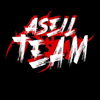 ASEIL TEAM