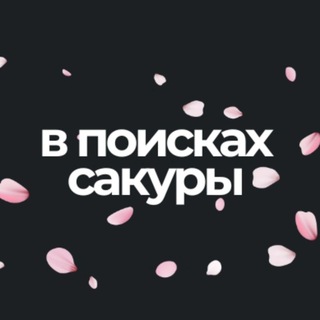 В поисках сакуры | Азия | Путешествия | Эстетика