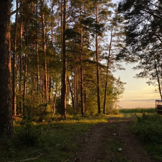 Аськинсы💋