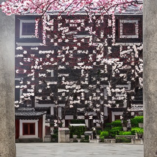 Деревня, скрытая в крипте