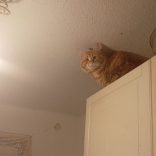 AspectDLC | Get good, get Aspect.