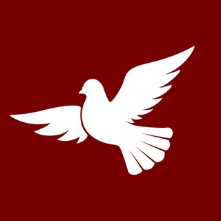 Дипломатия.Live