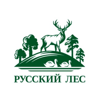 Охота, отдых, туризм | Ассоциация «Русский лес»