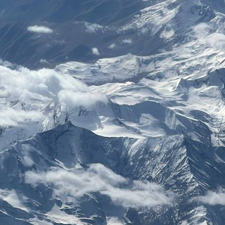 Старый канал Ассоциации «Русский лес»