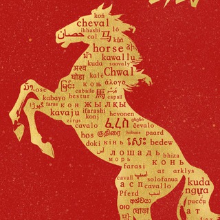 Астрология Бацзы, Ци Мэнь с Настей Шейк