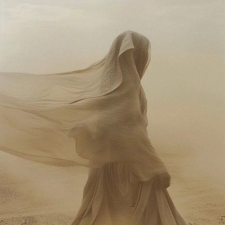 переезд в новый канал