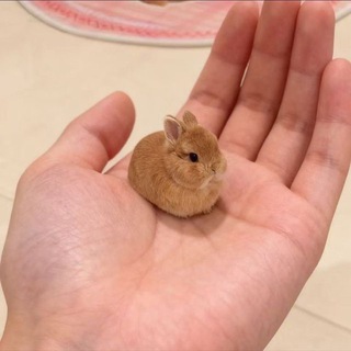 Отзывы @astronde