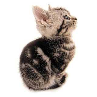 ася солнышко