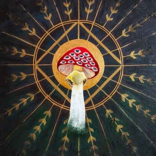 Мухоморов Мир 🌏 🍄