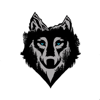 АТМОСФЕРА | Travel-blog 🏔