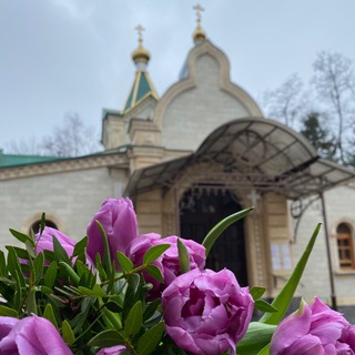 Храм святого пророка Божия Илии. Владикавказ