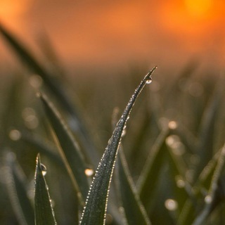 тёплый вечер августа