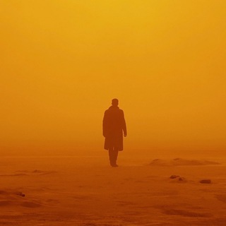 Au revoir, Shoshanna!