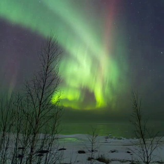 Aurora Hunter СПб