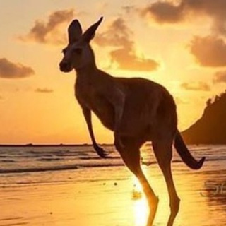 Австралия и Новая Зеландия - Australia NZ (оззи)