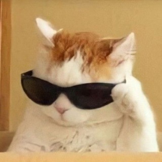 МЕМНЫЕ АВАТАРКИ