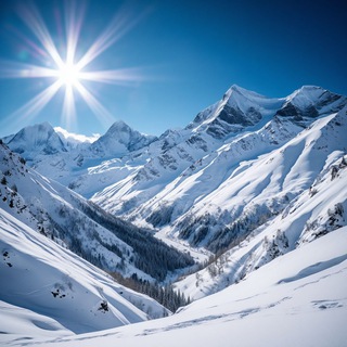 Avenue Production Live