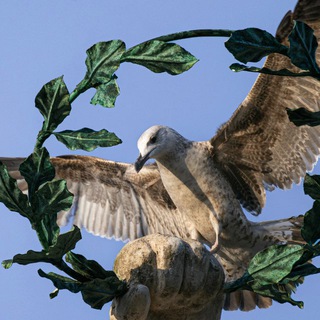 Птицы и мы 🐦‍⬛️