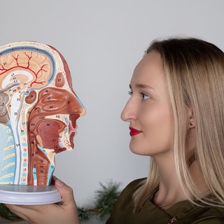 AVESSTUDY|Кинезиотерапия|Реабилитация| Для специалистов| Для тела| Для жизни| Обучение