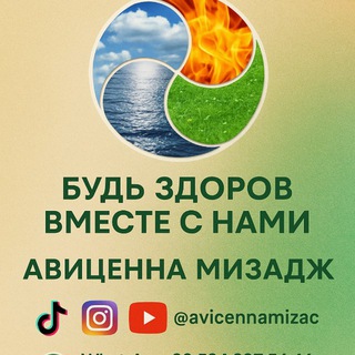 Ибн Сина Авиценна Медицина