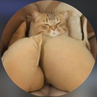 ❤️ БЛОГЕРШИ ТИКТОКЕРШИ СТРИМЕРШИ