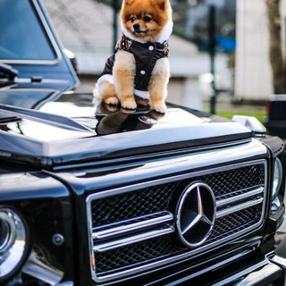 Авто с пробегом