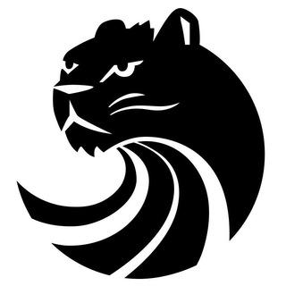 AVTORAVA | ПРЕМИАЛЬНЫЕ АВТО