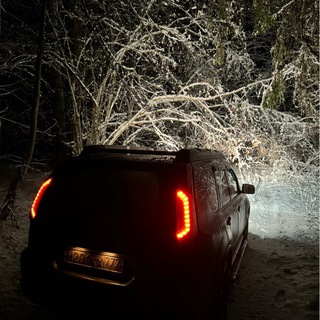 даник пешеход