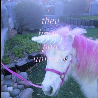 axxxsi ¿¿ *ася болт