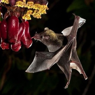 полина крутит барабан