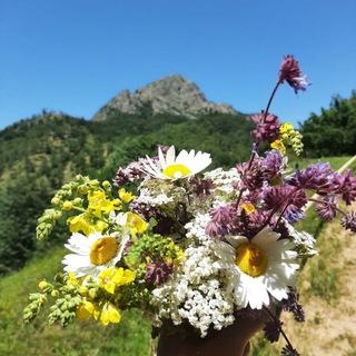 Азербайджанология.