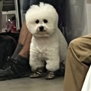 Азар, но не эден