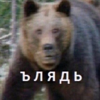 404ерный ящик