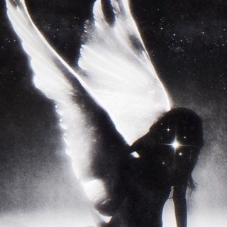 𝑎𝑛𝑔𝑒𝑙’𝑠 𝑏𝑜𝑜𝑘𝑐𝑎𝑠𝑒