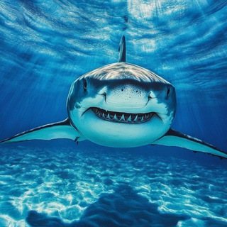 Морские Чудовища