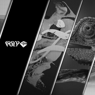 𝗕𝗔𝗗 𝗣𝗢𝗟𝗬𝗚𝗢𝗡🦾