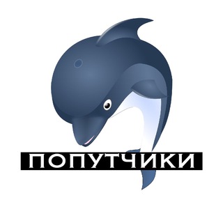 Багамы (попутчики) 🏄‍♀️🐬👙